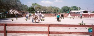 Naples Equestrian Challenge Community Involvement